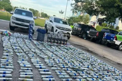 Por la falta de regulación, crece el millonario negocio del comercio de la hoja de coca