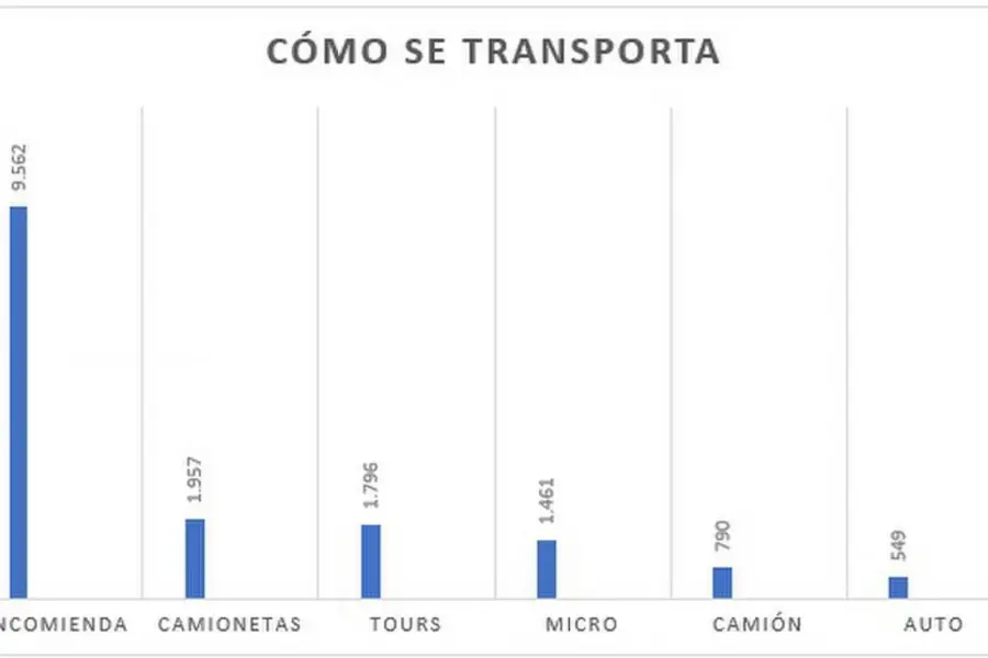 Por la falta de regulación, crece el millonario negocio del comercio de la hoja de coca