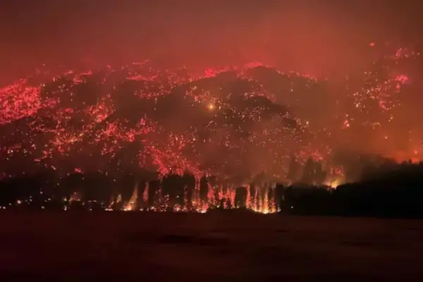 Incendios en la Patagonia: aplican multas de hasta $6 millones por encender fogatas en zonas prohibidas