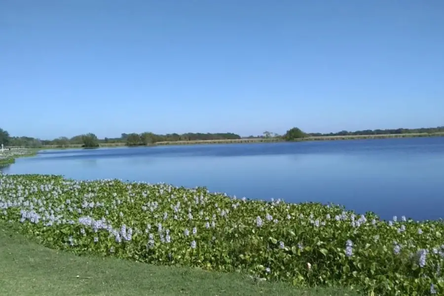 SAN VICENTE. Queda a sólo 50 km de Buenos Aires y es ideal para pasar un día en una hermosa laguna.
