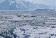 Aguas calientes y desestabilización masiva: lo que está pasando en la Antártida preocupa a los científicos