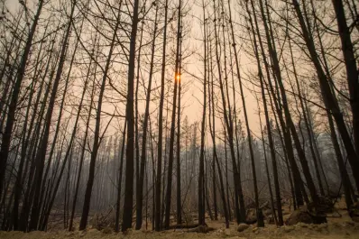 El fuego no tiene control en la Patagonia argentina