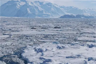 Aguas calientes y desestabilización masiva: lo que está pasando en la Antártida preocupa a los científicos