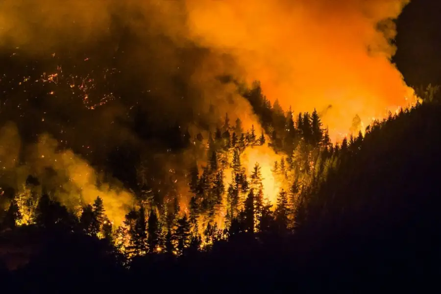 El fuego no tiene control en la Patagonia argentina