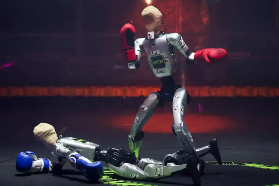 Lucha libre de Robots. Captura de vídeo. 