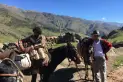 Cerro Muñoz, la cumbre que no quería ser frontera
