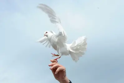 Elisabetta Piqué: “Los argentinos tienen que estar orgullosos del papa Francisco”