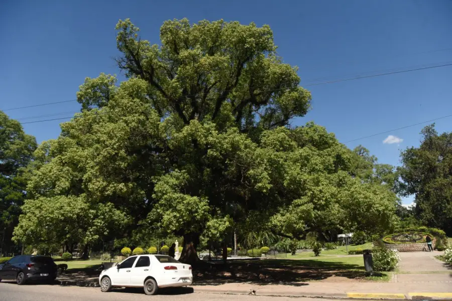 EN UN LUGAR ESPECIAL. El parque 9 de Julio, donde está el reloj floral.