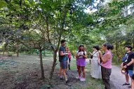 Un paso y ya es selva: la experiencia de adentrarse al Jardín Botánico de Horco Molle