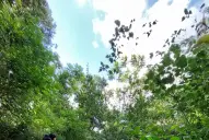 Horco Molle: más actividades para descubrir la naturaleza en estas vacaciones de verano