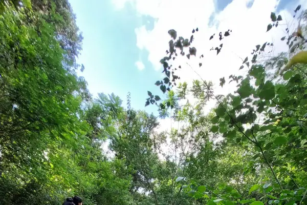 Horco Molle: más actividades para descubrir la naturaleza en estas vacaciones de verano