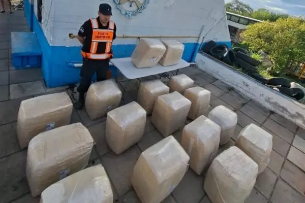 ¿Cómo son los engranajes del millonario comercio de hojas de coca?