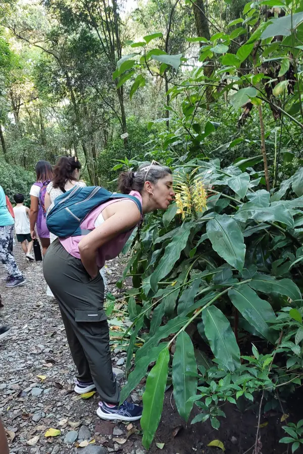 ESPACIO CONCURRIDO. Además de las propuestas educativas, también se puede pasar el día allí mate en mano, con galletitas y de forma gratuita.