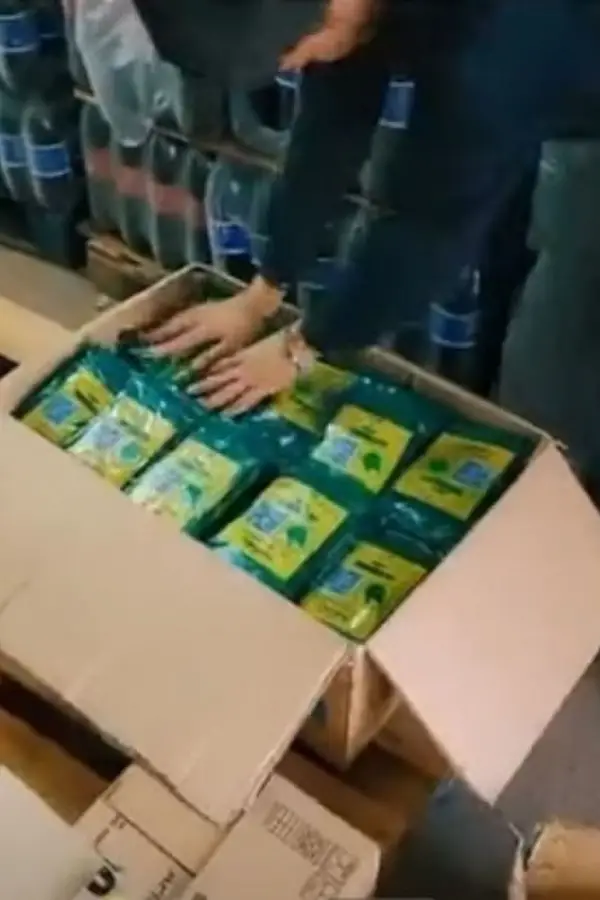 ¿Cómo son los engranajes del millonario comercio de hojas de coca?