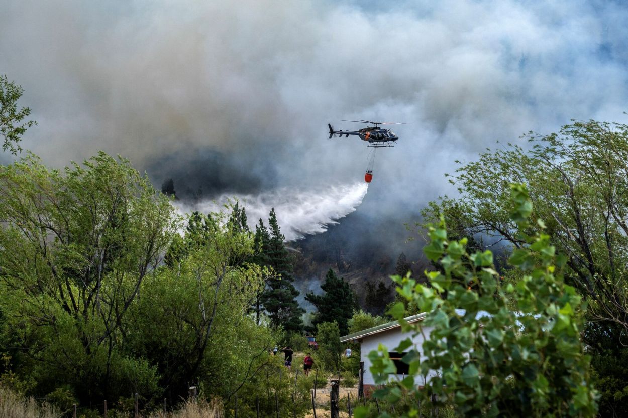 DATO. Tras el fuego puede llegar una flora invasora de especies exóticas.