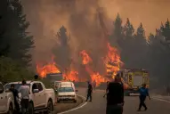 Fuego en la Patagonia: el daño invisible que un incendio genera a nivel subterráneo