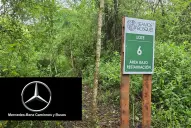 Últimas semanas para aplicar al programa de Mercedes-Benz que ofrece becas para proyectos ambientales