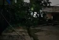 La tormenta provocó caída de árboles y complicaciones en algunas zonas de Tucumán