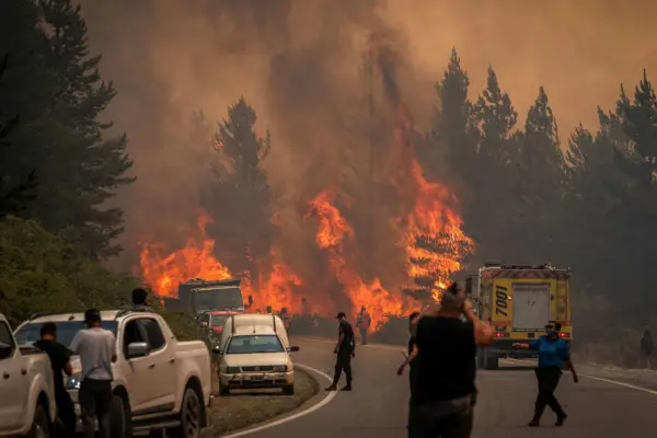 Fuego en la Patagonia: el daño invisible que un incendio genera a nivel subterráneo