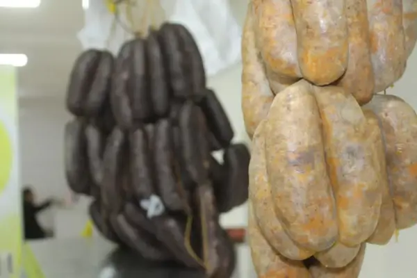 Escándalo sanitario en Salta: allanaron una carnicería sospechada de vender embutidos con carne de gato