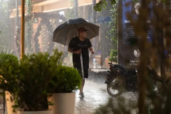 La tormenta provocó caída de árboles y complicaciones en algunas zonas de Tucumán