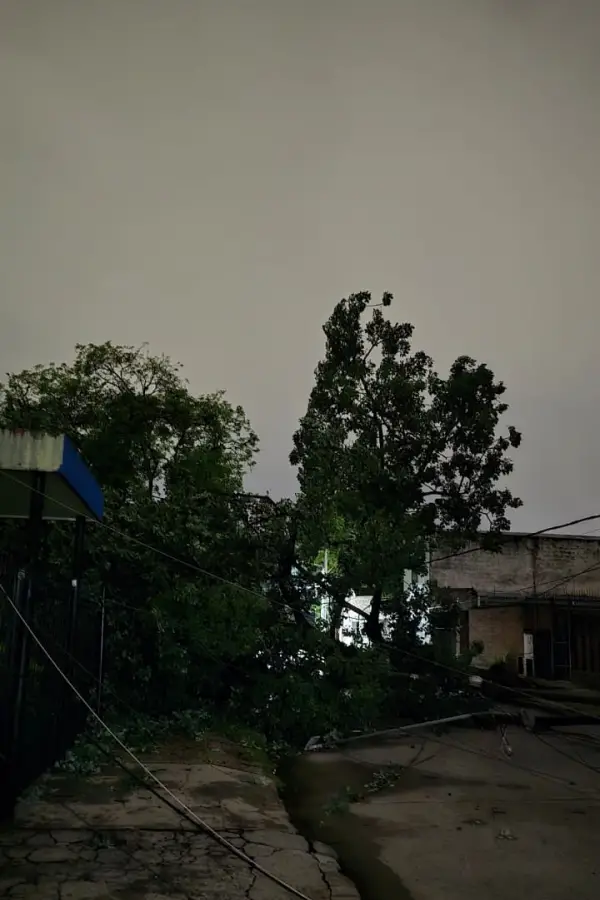 La tormenta provocó caída de árboles y complicaciones en algunas zonas de Tucumán
