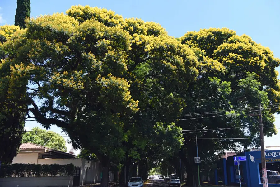 NOTABLE. En avenida Mate de Luna se reconoció su valor patrimonial.