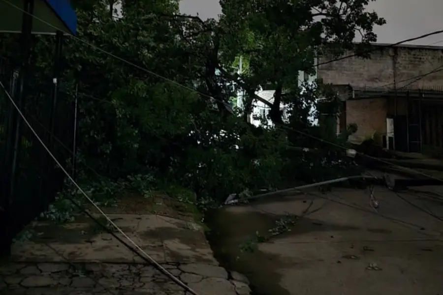 La tormenta provocó caída de árboles y complicaciones en algunas zonas de Tucumán