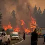 Fuego en la Patagonia: el daño invisible que un incendio genera a nivel subterráneo