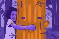 Sudamérica inflamable: incendios en la Patagonia, Amazonía y Tucumán