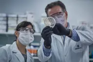 Cómo postularse a la Carrera de Investigador Científico y Tecnológico del Conicet: requisitos y plazos