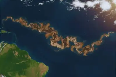 ¿Qué es la mancha marrón que une África con el Caribe? El fenómeno que preocupa a los expertos