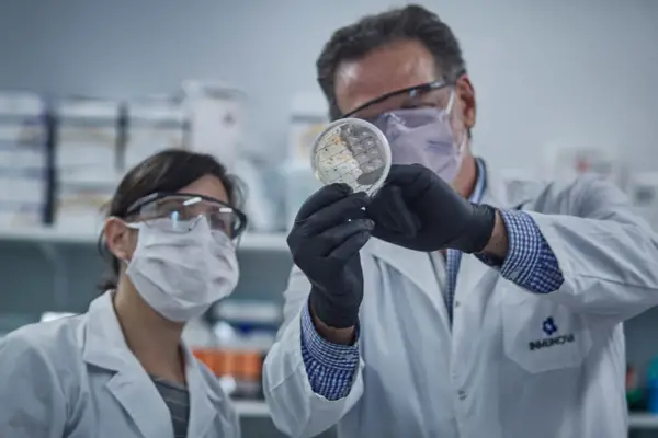 Cómo postularse a la Carrera de Investigador Científico y Tecnológico del Conicet: requisitos y plazos