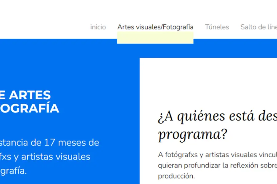 BECAS. Oportunidad para artistas jóvenes que buscan formación profesional sin pagar el arancel.