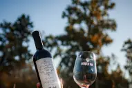 Alejandro Vigil, el Messi del vino: entre el sueño de destronar a Borgoña y su fanatismo por los Pumas tucumanos