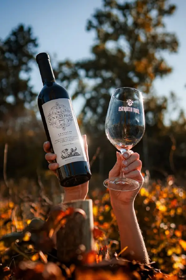 EL ENEMIGO. Uno de los vinos más reconocidos a nivel internacional. 