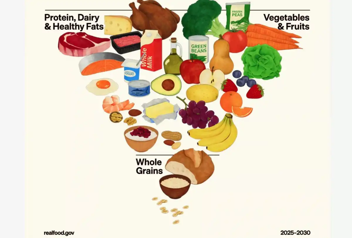 La pirámide nutricional.  