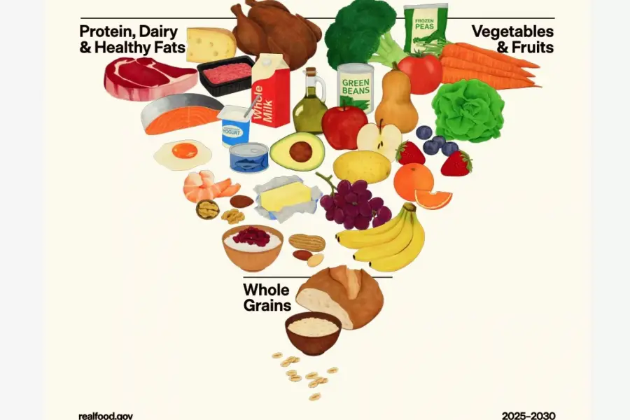 La pirámide nutricional.  