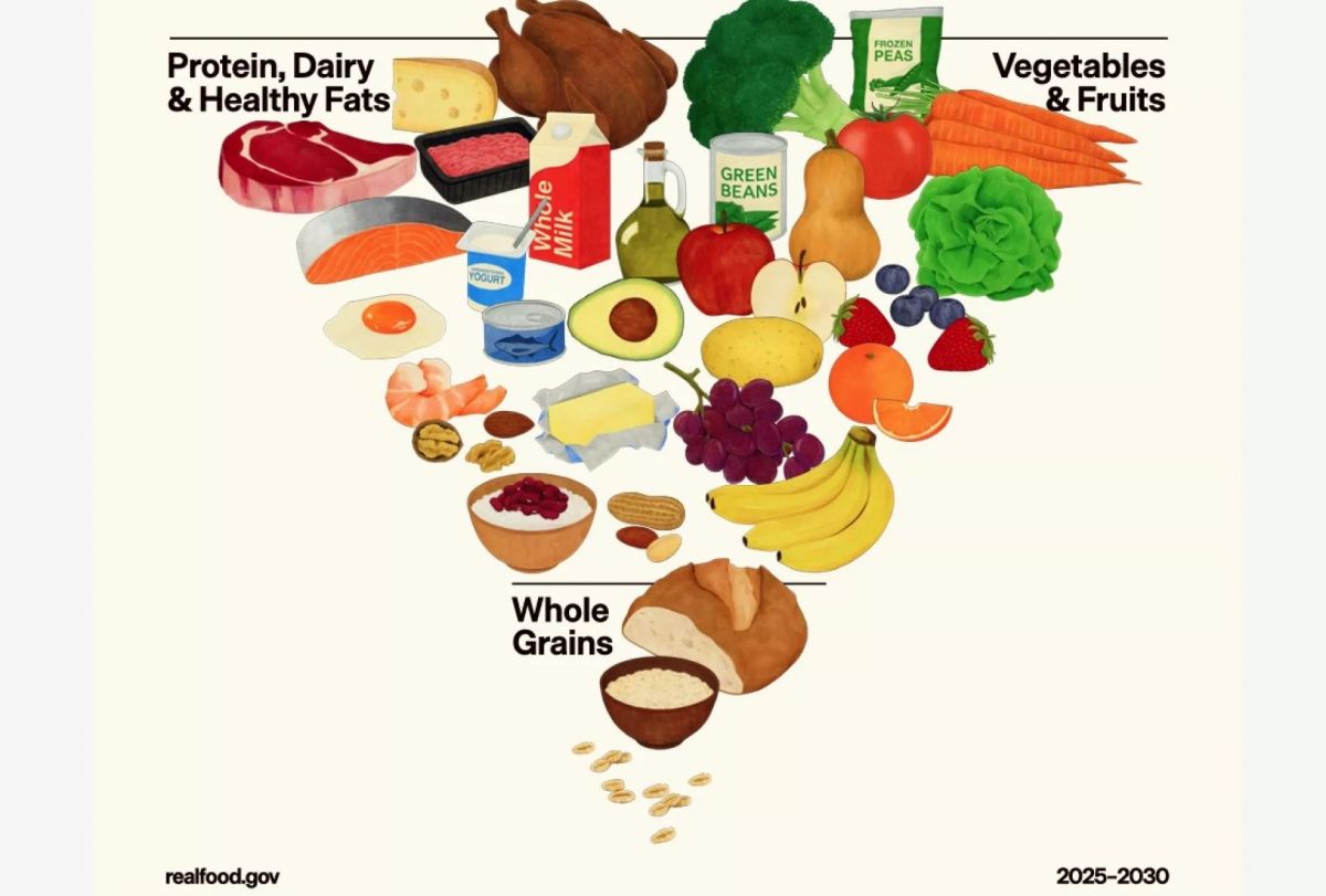 La pirámide nutricional.  