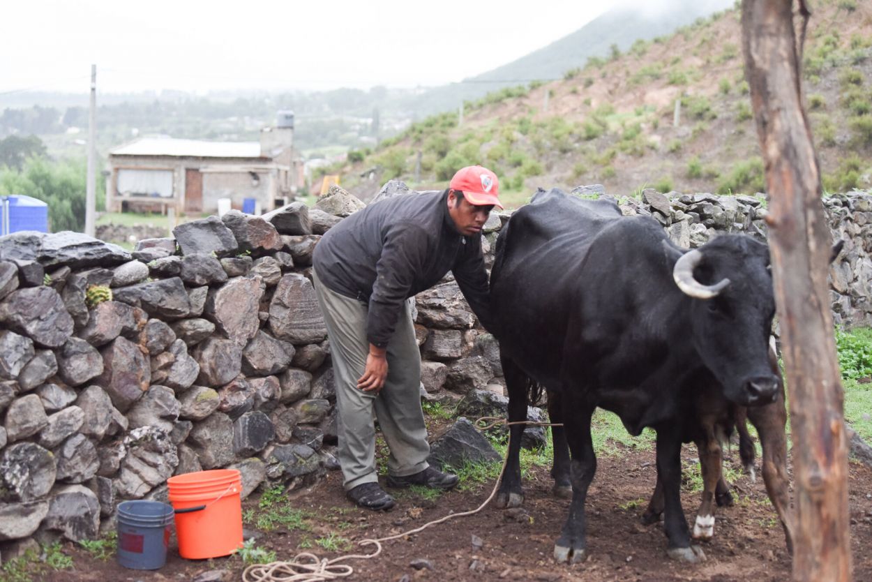 EL HEREDERO. El sobrino de Guanco aprendió a tratar a los animales.
