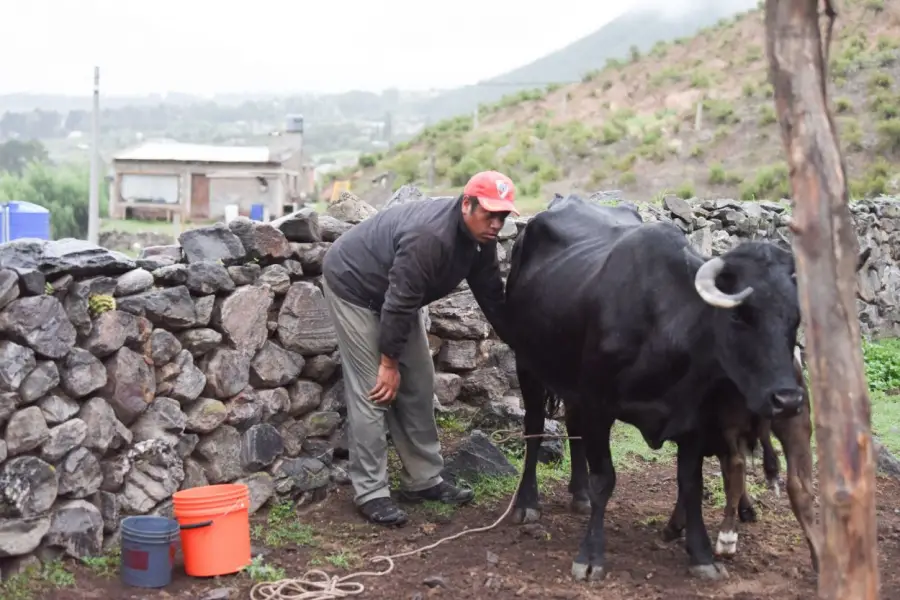 EL HEREDERO. El sobrino de Guanco aprendió a tratar a los animales.