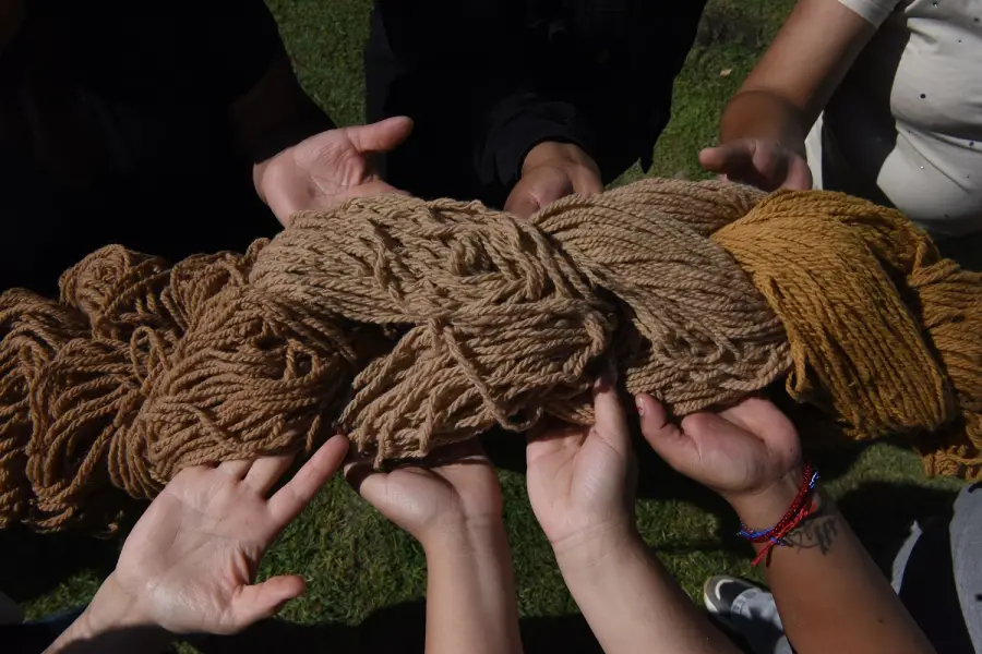 LA GACETA FOTOS DE ANA LÍA JARAMILLO