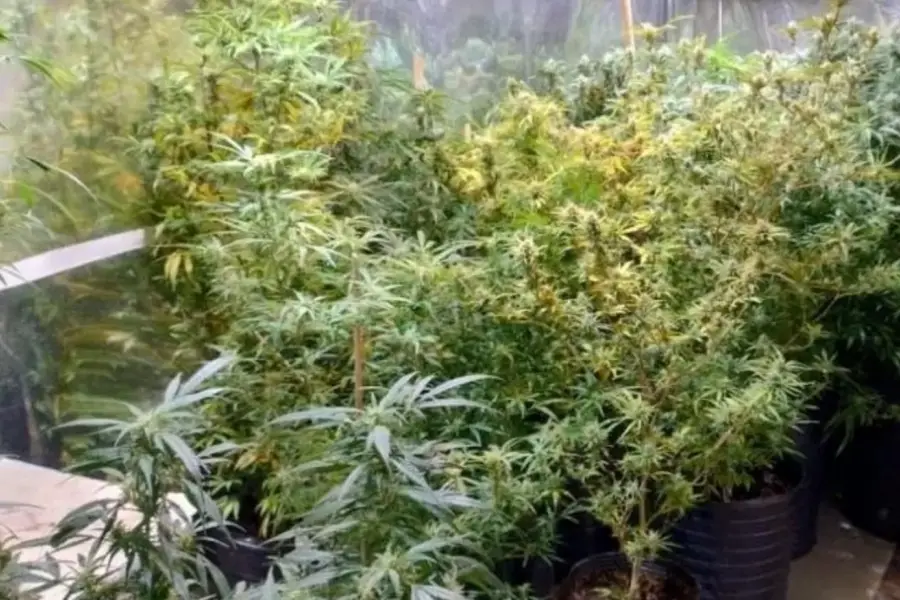 ¿Quién es “El Militar” y por qué asesinaron a Érika Antonella Álvarez?