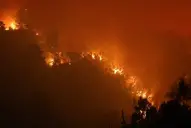 Los incendios forestales arrasan el sur de Chile: ya son 15 las personas fallecidas y 20.000 evacuados
