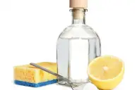 Combinar vinagre y limón: por qué recomiendan hacerlo y para qué sirve esta mezcla casera