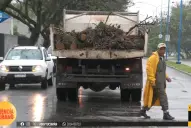 Las lluvias extremas obligaron a reforzar los operativos de emergencia en la capital: “Los árboles ya no aguantan”