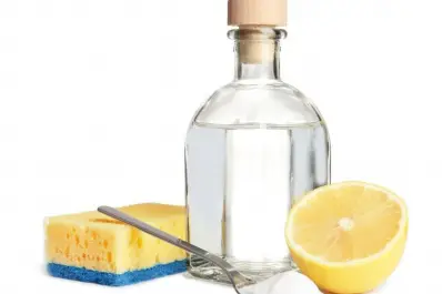 Combinar vinagre y limón: por qué recomiendan hacerlo y para qué sirve esta mezcla casera