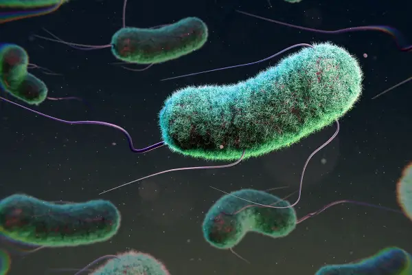 Alerta bacteriana: el objeto personal que usás a diario y que pone en riesgo tu salud