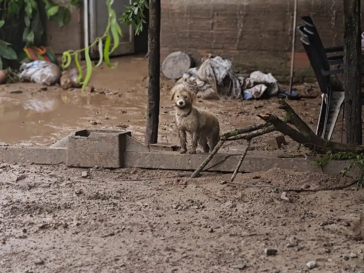 FOTO DE SANTIAGO GIMÉNEZ