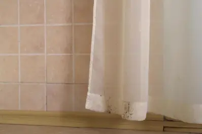 El truco casero para quitar los hongos de las cortinas de baño en minutos